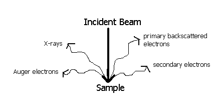 Diagram of effects of electron beam on sample in a scanning electron microscope.